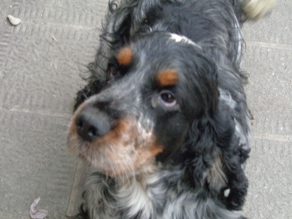 Nonchalente dit naisse Du Royaume De Lecki