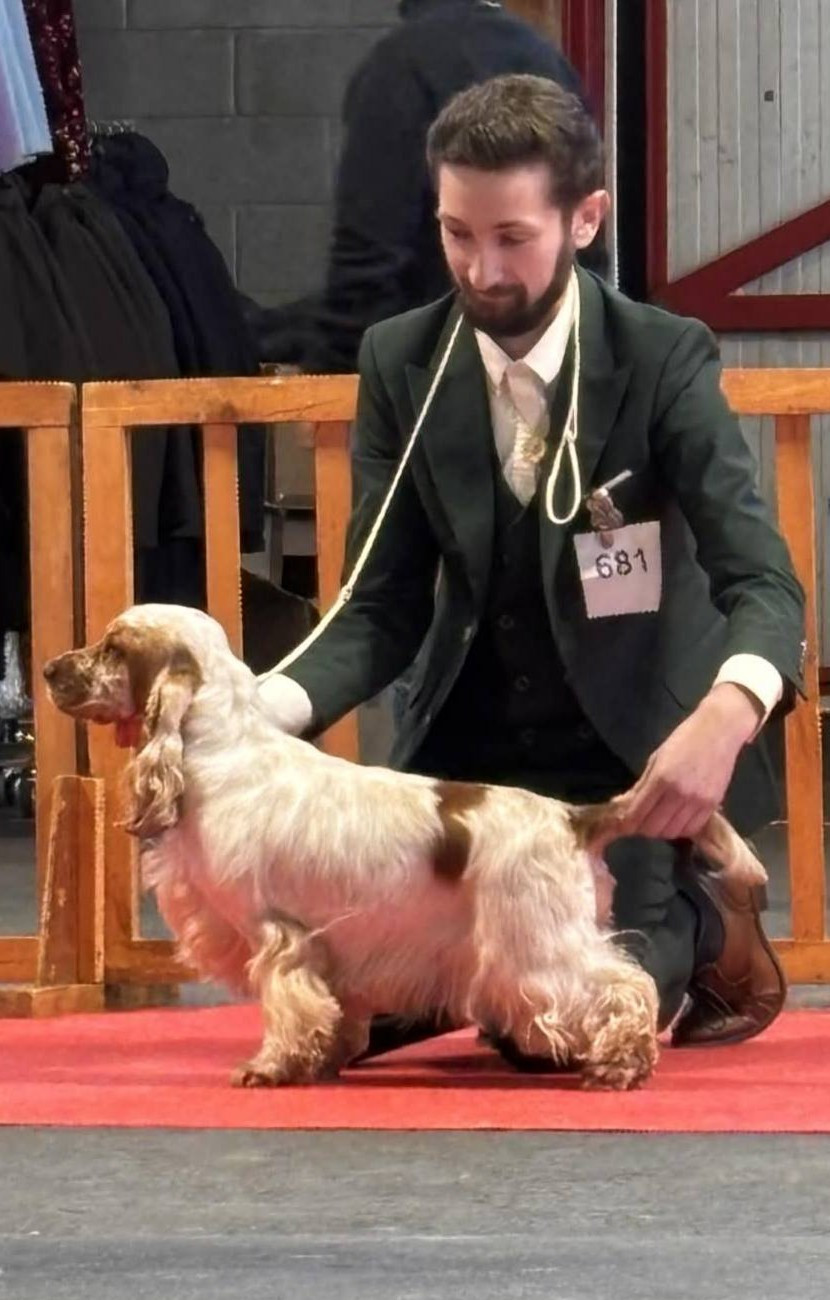 TR. i will be Inspired By Afordite