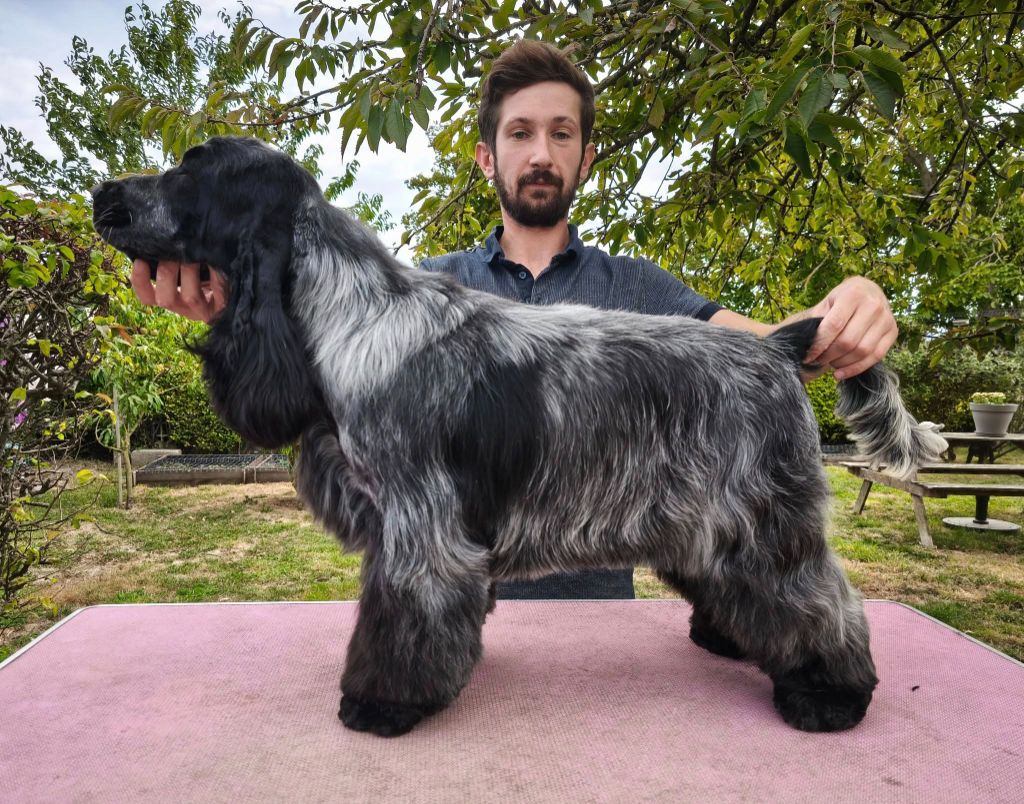 royal's friend ecs Ain't it funny