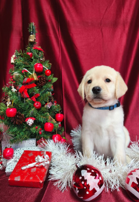 Atlas du Royaume de Lecki