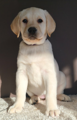 Aqua du Royaume de Lecki